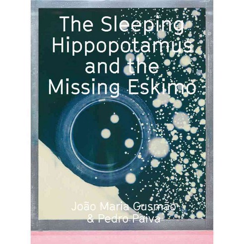 João Maria Gusmão & Pedro Paiva: The Sleeping Hippopotamus and the Missing Eskimo, Walther Konig