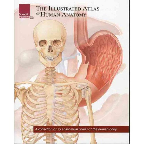 The Illustrated Atlas of Human Anatomy: A Collection of 25 Anatomical ... Biology Diagrams