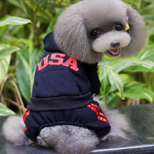 노랜드 반려견 DOG BABY USA 올인원, 블랙