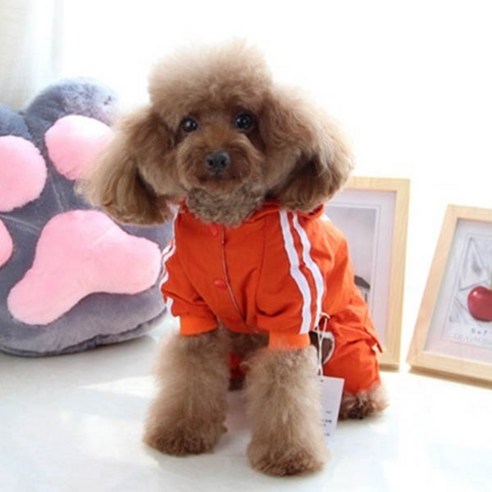 코코아허니 강아지 무지개 바람막이 비옷, 레드