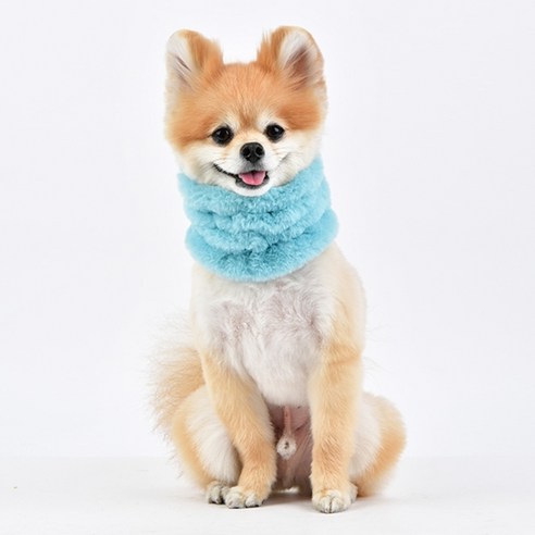 핑카홀릭뉴욕 팝 컬러 퍼 반려견 스누드, 아쿠아