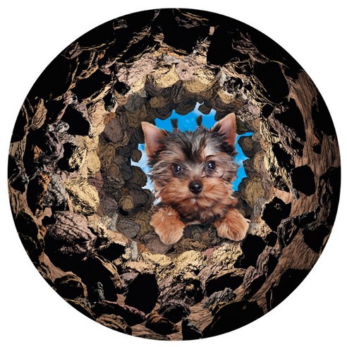 리빙팝 귀염둥이 강아지 원형매트, 14 type