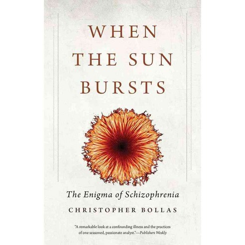 When the Sun Bursts: The Enigma of Schizophrenia 페이퍼북, Yale Univ Pr