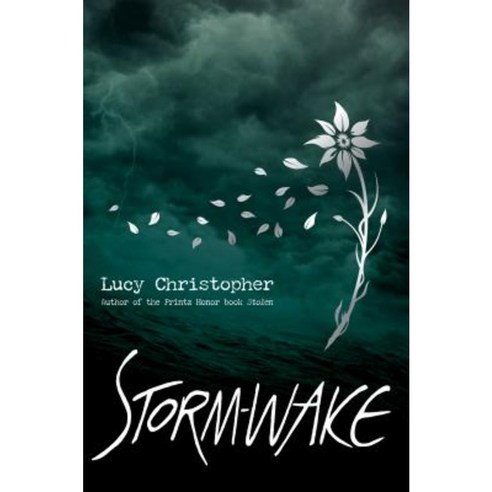 Storm-Wake Hardcover, Chicken House