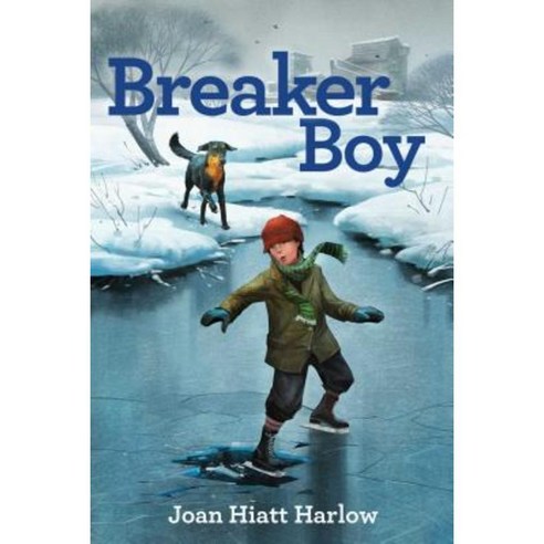 Breaker Boy Hardcover, Margaret K. McElderry Books