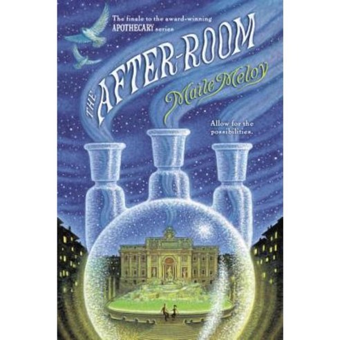 The After-Room Paperback, Puffin Books