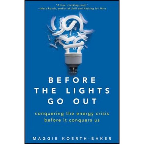 Before the Lights Go Out: Conquering the Energy Crisis Before It Conquers Us Hardcover, Wiley (TP)