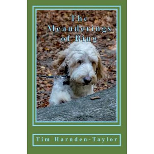 The Meanderings of Bing: A Gentle Humorous Look at Life Snooker Whizzers and Other Great Philosophical Mysteries Paperback, Saron Publishing