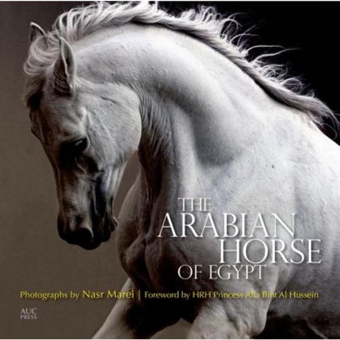 The Arabian Horse of Egypt Paperback, American University in Cairo Press