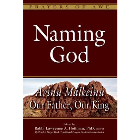 Naming God: Avinu Malkeinu--Our Father Our King Paperback, Jewish Lights Publishing