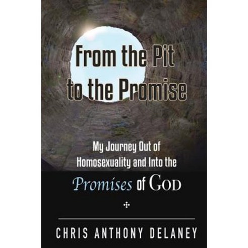 From the Pit to the Promise: My Journey Out of Homosexuality and Into the Promises of God Paperback, 4-P Publishing