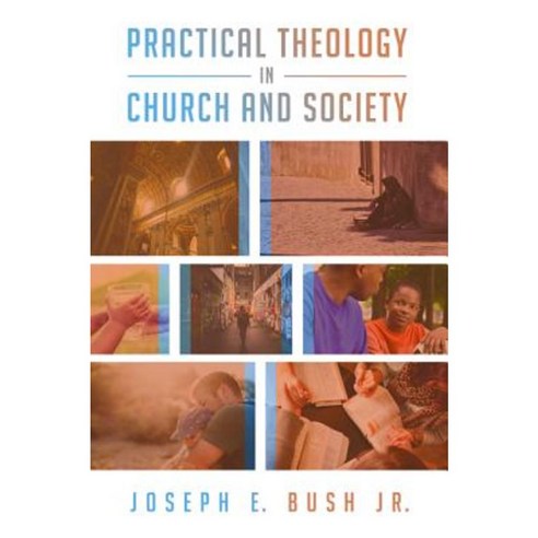 Practical Theology in Church and Society Hardcover, Cascade Books
