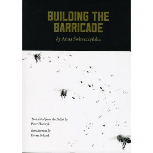 Building the Barricade Paperback, Tavern Books
