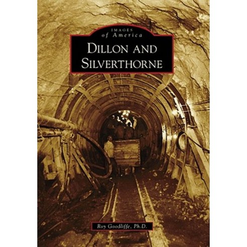 Dillon and Silverthorne Paperback, Arcadia Publishing (SC)