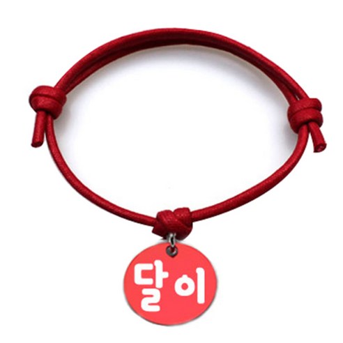 펫츠룩 굿모닝 레드 반려동물 목걸이 S + 알미늄원형 팬던트 M, 레드(달이), 1개