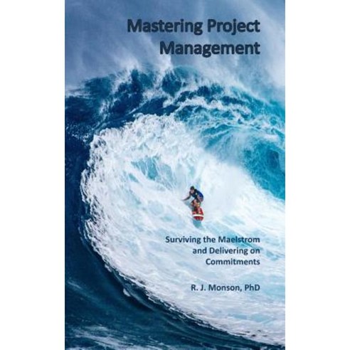 Mastering Project Management: Surviving the Maelstrom and Delivering on Commitments Hardcover, Rjm