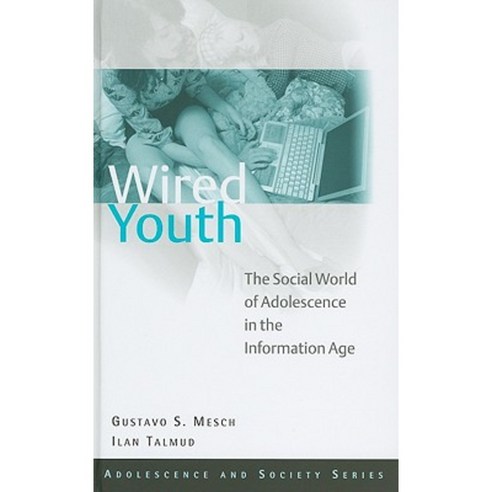 Wired Youth: The Social World of Adolescence in the Information Age Hardcover, Routledge