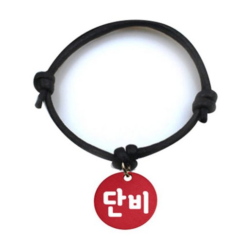 펫츠룩 굿모닝 블랙 반려동물 목걸이 S + 알미늄원형 팬던트 M, 레드(단비), 1개
