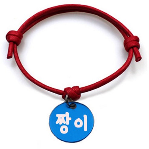 펫츠룩 굿모닝 레드 반려동물 목걸이 S + 알미늄 원형 팬던트 M, 블루(짱이), 1개