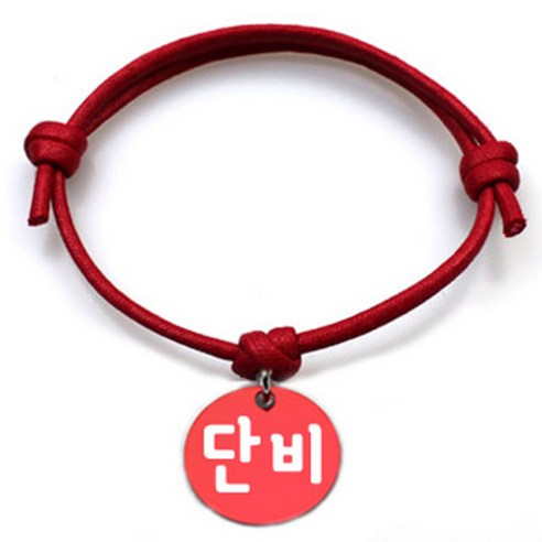 펫츠룩 굿모닝 레드 반려동물 목걸이 M + 알미늄 원형 팬던트 S, 레드(단비), 1개
