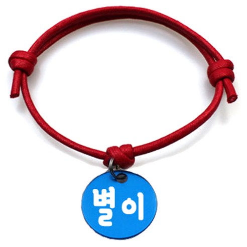 펫츠룩 굿모닝 레드 반려동물 목걸이 M + 알미늄원형 팬던트 S, 블루(별이), 1개