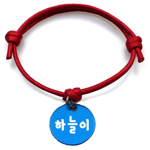 펫츠룩 굿모닝 레드 반려동물 목걸이 M + 알미늄원형 팬던트 S, 블루(하늘이), 1개