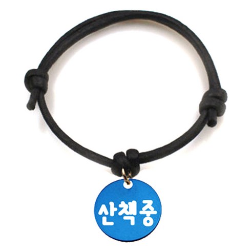펫츠룩 굿모닝 블랙 반려동물 목걸이 S + 알미늄원형 팬던트 S, 블루(산책중), 1개