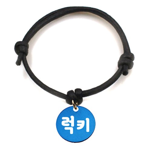 펫츠룩 굿모닝 블랙 반려동물 목걸이 S + 알미늄원형 팬던트 S, 블루(럭키), 1개