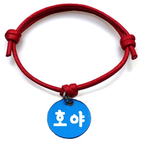 펫츠룩 굿모닝 레드 반려동물 목걸이 M + 알미늄원형 팬던트 S, 블루(호야), 1개