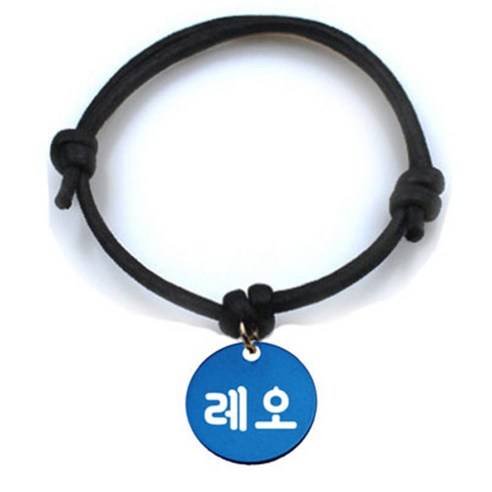 펫츠룩 굿모닝 블랙 반려동물 목걸이 S + 알미늄원형 팬던트 M, 블루(레오), 1개