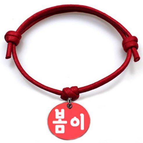 펫츠룩 굿모닝 레드 반려동물 목걸이 M + 알미늄원형 팬던트 M, 레드(봄이), 1개