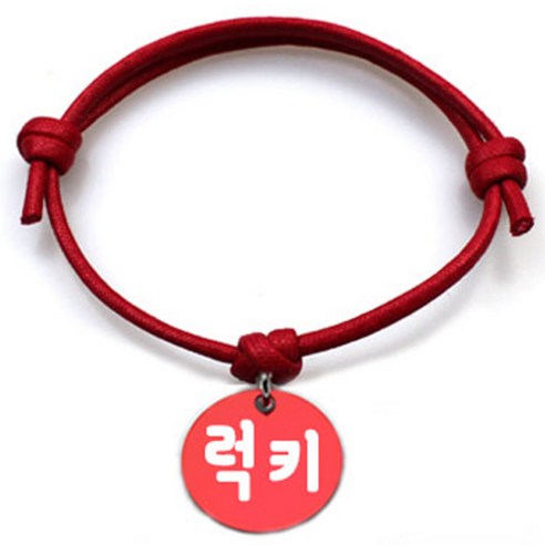 펫츠룩 굿모닝 레드 반려동물 목걸이 M + 알미늄원형 팬던트 M, 레드(럭키), 1개