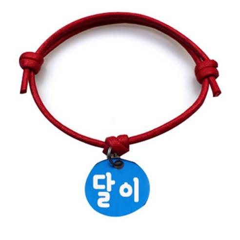 펫츠룩 굿모닝 레드 반려동물 목걸이 M + 알미늄원형 팬던트 M, 블루(달이), 1개
