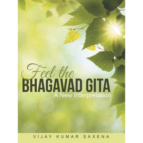 Feel the Bhagavad Gita: A New Interpretation Paperback, Archway Publishing