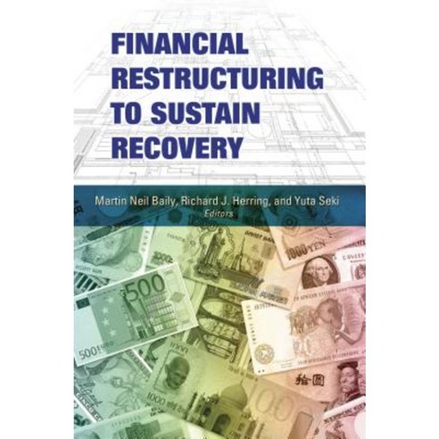Financial Restructuring to Sustain Recovery Paperback, Brookings Institution Press