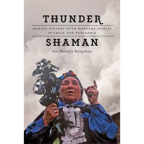 Thunder Shaman: Making History with Mapuche Spirits in Chile and Patagonia Paperback, University of Texas Press