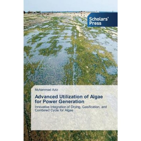 Advanced Utilization of Algae for Power Generation Paperback, Scholars'' Press