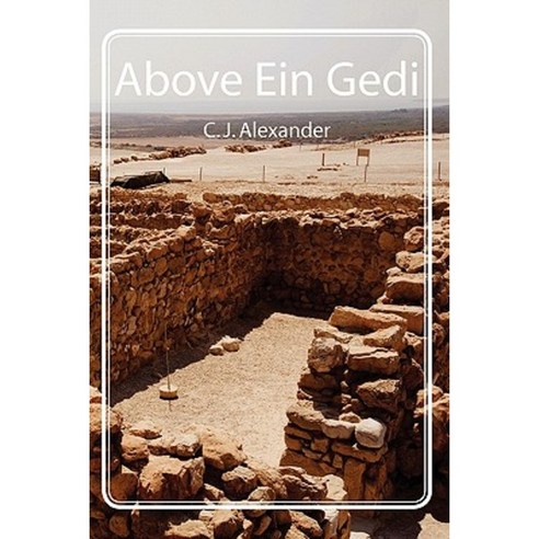 Above Ein Gedi Paperback, Createspace Independent Publishing Platform