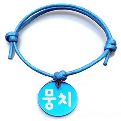펫츠룩 굿모닝 블루 반려동물 목걸이 M + 알미늄원형 팬던트 S, 블루(뭉치), 1개