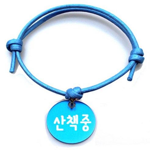 펫츠룩 굿모닝 블루 반려동물 목걸이 M + 알미늄원형 팬던트 S, 블루(산책중), 1개