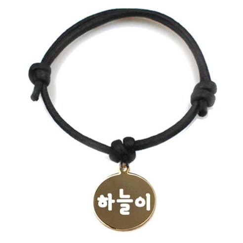 펫츠룩 굿모닝 블랙 반려동물 목걸이 M + 메탈원형 팬던트 S, 골드(하늘이), 1개