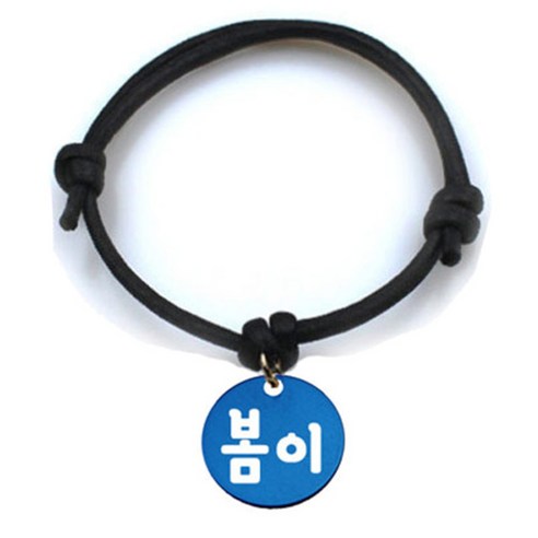 펫츠룩 굿모닝 블랙 반려동물 목걸이 M + 알미늄원형 팬던트 M, 블루(봄이), 1개