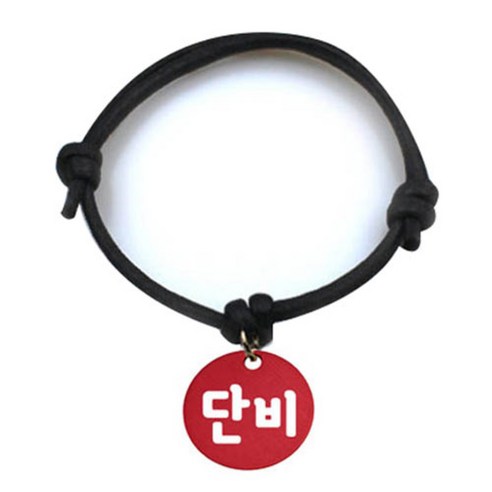 펫츠룩 굿모닝 블랙 반려동물 목걸이 M + 알미늄원형 팬던트 M, 레드(단비), 1개