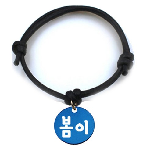 펫츠룩 굿모닝 블랙 반려동물 목걸이 M + 알미늄 원형 팬던트 S, 블루(봄이), 1개