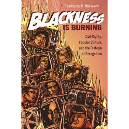 Blackness Is Burning: Civil Rights Popular Culture and the Problem of Recognition Paperback, Wayne State University Press