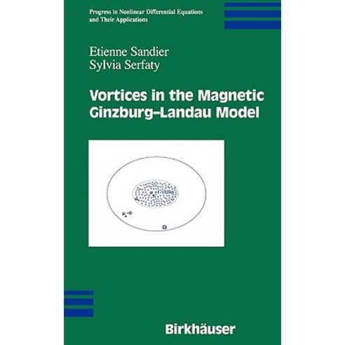Vortices in the Magnetic Ginzburg-Landau Model Hardcover, Springer