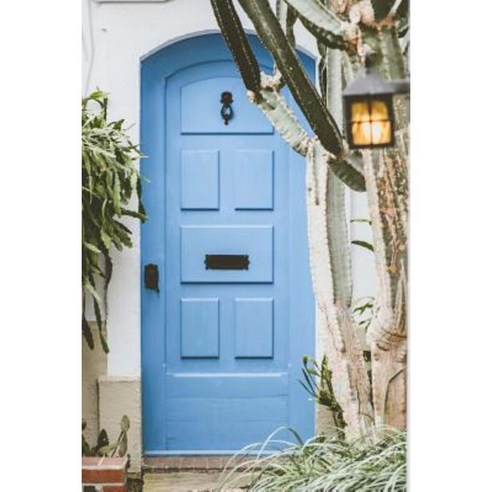 Cacti in Front of Blue Door Notebook: 150 Page Lined 6 X 9 Notebook ...