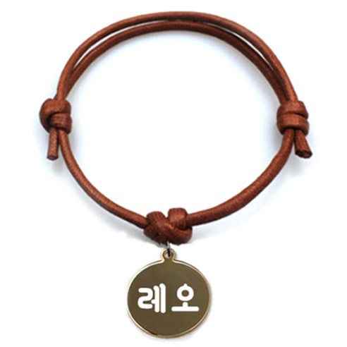 펫츠룩 굿모닝 카라멜 반려동물 목걸이 M + 메탈원형 팬던트 M, 골드(레오), 1개