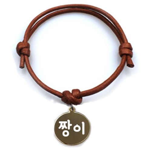 펫츠룩 굿모닝 카라멜 반려동물 목걸이 M + 메탈원형 팬던트 S, 골드(짱이), 1개