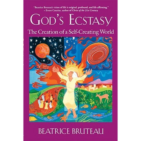 God''s Ecstasy: The Creation of a Self-Creating World Paperback, Crossroad Publishing Company